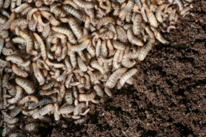 1000_F_180455029_zCGYob7h09JOOvSALLUJeH7RCeZefMOU