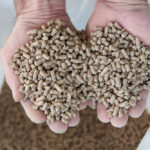 1000_F_387368178_gs5ltqLqWje1JH7N5HdwcRcsuNF3mBmI