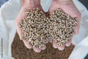 1000_F_387368178_gs5ltqLqWje1JH7N5HdwcRcsuNF3mBmI