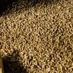 1000_F_428474842_Nah7LGAY2hLKx6AZSDJOEX8OXgVxEOqR