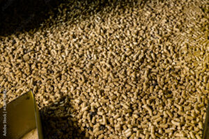 1000_F_428474842_Nah7LGAY2hLKx6AZSDJOEX8OXgVxEOqR