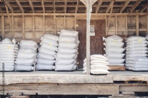 1000_F_541565869_3AQkfByoeGxNuDBD9va2JseXM6SjTyOR