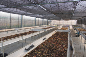 1000_F_593874321_NZCNUX3LU6lxHPPZzrFbXDqQJgD2Eud2