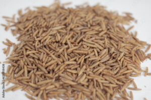 1000_F_620958438_5sFab6La3Tnytt4jCUOiiAgCxHdY0eNM